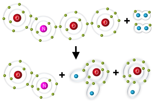Hypothese: So könnte der Abbau des Peroxynitrit-Anions mit Hilfe von molekularem Wasserstoff ablaufen