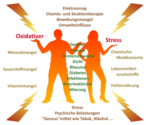 Ursachen und Auswirkungen von oxidativem Stress